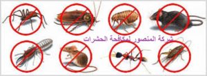 مكافحة الحشرات فى مكة