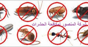 مكافحة الحشرات فى مكة